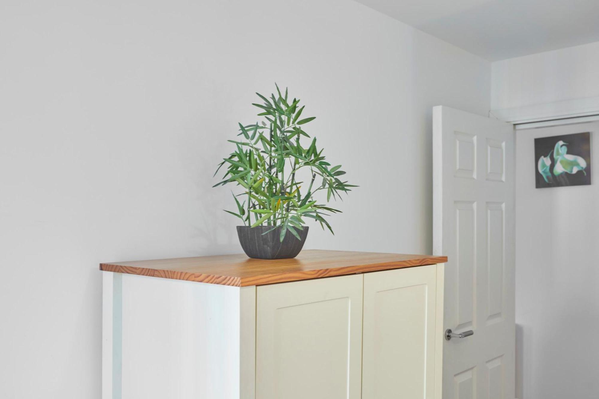 Driftwood Apt 7 Skinningrove Buitenkant foto